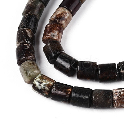 Natural Biotite Beads Strands G-T141-88A-1