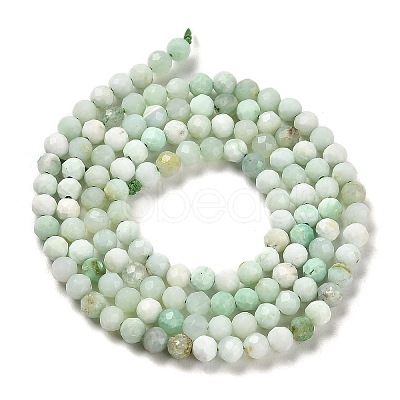 Natural Green Opal Beads Strands G-Z035-A02-02B-1