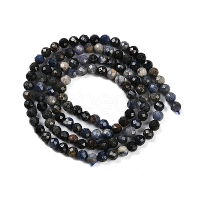 Natural Sapphire Beads Strands G-P553-G07-02-1