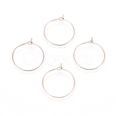 Ion Plating(IP) 316L Surgical Stainless Steel Hoop Earring Findings STAS-D164-05RG-1