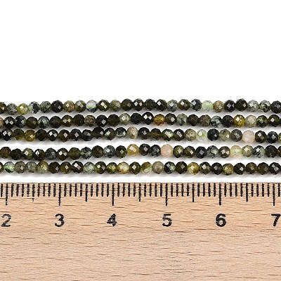 Natural Prehnite Beads Strands G-L628-B11-2mm-1