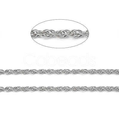 Tarnish Resistant 304 Stainless Steel Rope Chains CHS-G027-08C-P-1