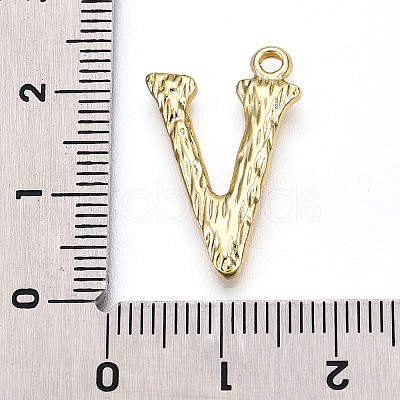 304 Stainless Steel Pendants STAS-N117-01G-V-1