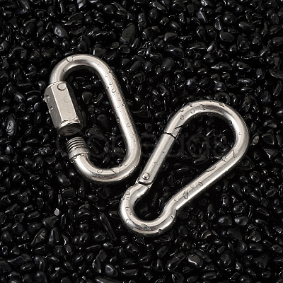 6Pcs 2 Style 304 Stainless Steel Rock Climbing Carabiners STAS-TA0001-33P-1