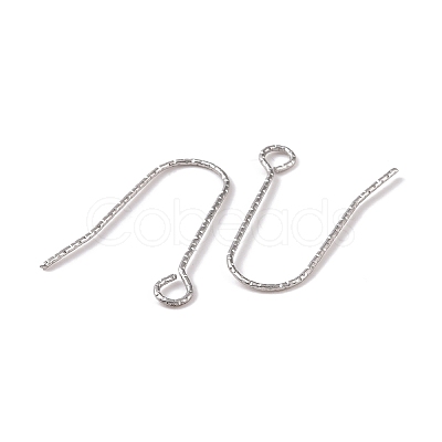 Tarnish Resistant 316 Stainless Steel Earring Hooks X-STAS-C059-10P-1