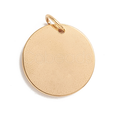 Ion Plating(IP) 304 Stainless Steel Pendants X-STAS-E486-10G-1