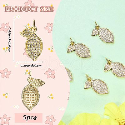 5Pcs Brass Micro Pave Cubic Zirconia Pendants ZIRC-SZ0005-34-1