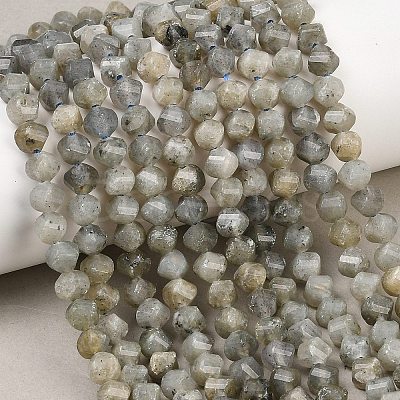 Natural Labradorite Beads Strands G-P611-C26-01-1