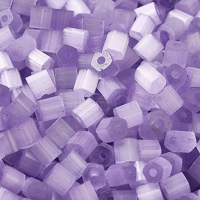 Glass Seed Beads SEED-H002-D-A815-1