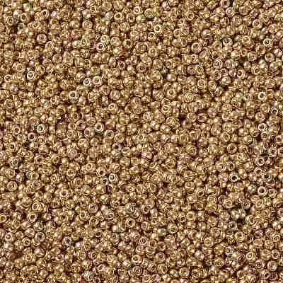 MIYUKI Round Rocailles Beads X-SEED-G008-RR0182-1
