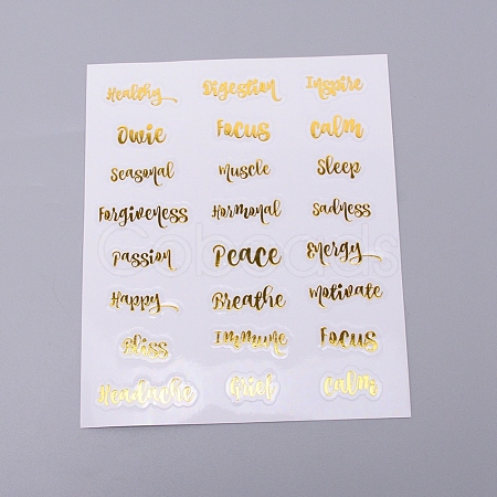 Waterproof Plastic Decorations Stickers DIY-WH0191-04A-1