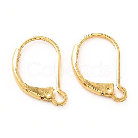 Brass Leverback Earring Findings X-KK-F828-03G-1