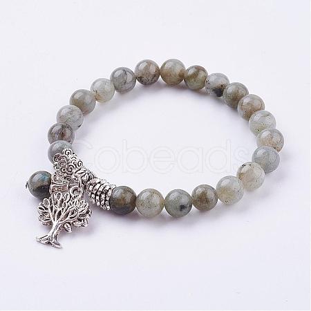 Natural Labradorite Stretch Bracelets BJEW-F262-A10-1