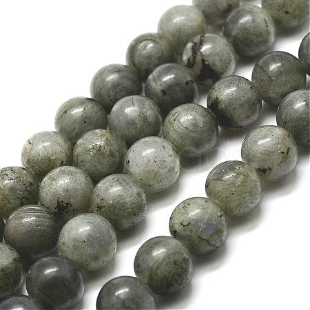 Natural Labradorite Bead Strands G-P256-01-4mm-1