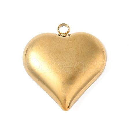 304 Stainless Steel Pendants STAS-S186-06B-G-1