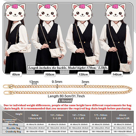 Bag Strap Chains IFIN-PH0024-02G-1