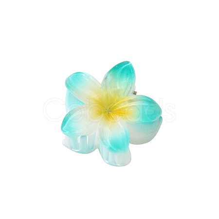 Plastic Claw Hair Clips PW-WG07B2B-12-1