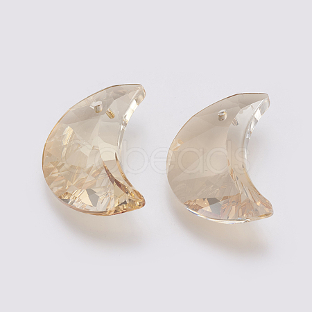 K9 Glass Rhinestone Pendants GLAA-K034-G01-1