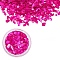 Shell Chip, Manicure Nail Art Decoration, Magenta, 0.5~10x0.5~7x0.1~3mm, about 3g/box