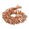 Natural Quartz Crystal Points Beads Strands G-K181-B26-7
