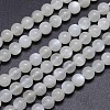 Natural White Moonstone Round Bead Strands G-M262-6mm-04-1