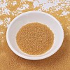 MIYUKI Delica Beads SEED-J020-DB0742-2