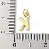 Rack Plating Brass Charms KK-P245-06G-K-3