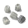 Natural Labradorite Incense Burners G-C167-05I-1