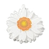 Printed Transparent Acrylic Pendants SACR-P029-B01-1