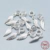 925 Sterling Silver European Dangle Charms STER-T002-67S-3