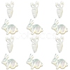 6Pcs 2 Styles Natural White Shell Beads BSHE-CJ0001-05-3