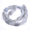 Natural Labradorite Beads Strands X-G-T121-13-3