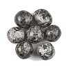 Natural Syenite Beads G-G348-01B-46-1