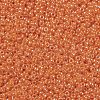 MIYUKI Round Rocailles Beads X-SEED-G009-RR0423-3