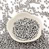 Metallic Colours Plated Glass Seed Beads SEED-H002-G-A573-2