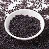 MIYUKI Round Rocailles Beads SEED-X0055-RR4502-2