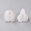Transparent Acrylic Bead Caps PL551-3