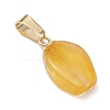 Gradient Color Natural Amber Pendants PALLOY-JF04930-02-4