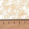 MIYUKI Round Rocailles Beads X-SEED-G007-RR0282-4