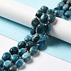 Natural Apatite Beads Strands G-B028-B09-2