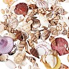 Mixed Shell Beads BSHE-TA0002-05-6