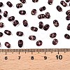 Picasso Spray Painted Glass Seed Beads SEED-T006-04-23-4