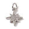 Brass Micro Pave Cubic Zirconia Charms ZIRC-F132-02P-1