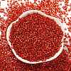 Glass Seed Beads SEED-S042-04A-10-2