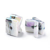 Opaque Rainbow Iridescent Acrylic Beads OACR-P010-22A-3
