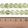 Crackle Transparent Glass Beads Strands GLAA-N063-10mm-07-2