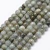 Natural Labradorite Beads Strands G-P322-28-8mm-1