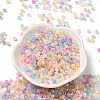 Glass Seed Beads SEED-H002-H-1311-2