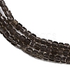 Natural Smoky Quartz Beads Strands G-P553-E06-01-4