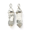 Natural Howlite Pointed Pendants G-M378-01P-A38-2